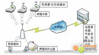 水产养殖环境远程监控系统设计方案